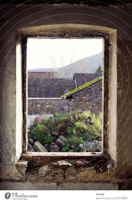[ ] Ruin Wall (barrier) Wall (building) Window Old Broken Natural Contour View from a window Derelict Concrete Colour photo Exterior shot Interior shot Detail