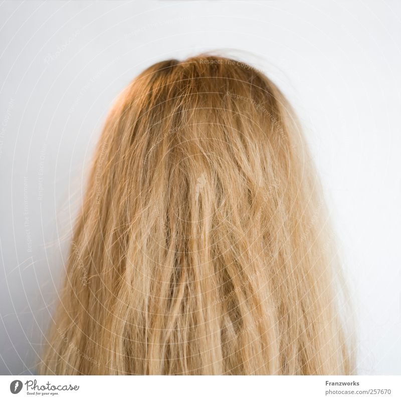 Identity I Human being Feminine Hair and hairstyles 1 Art Blonde Long-haired Esthetic Curiosity Complex Nature Back of the head Ask Irritation Foreign