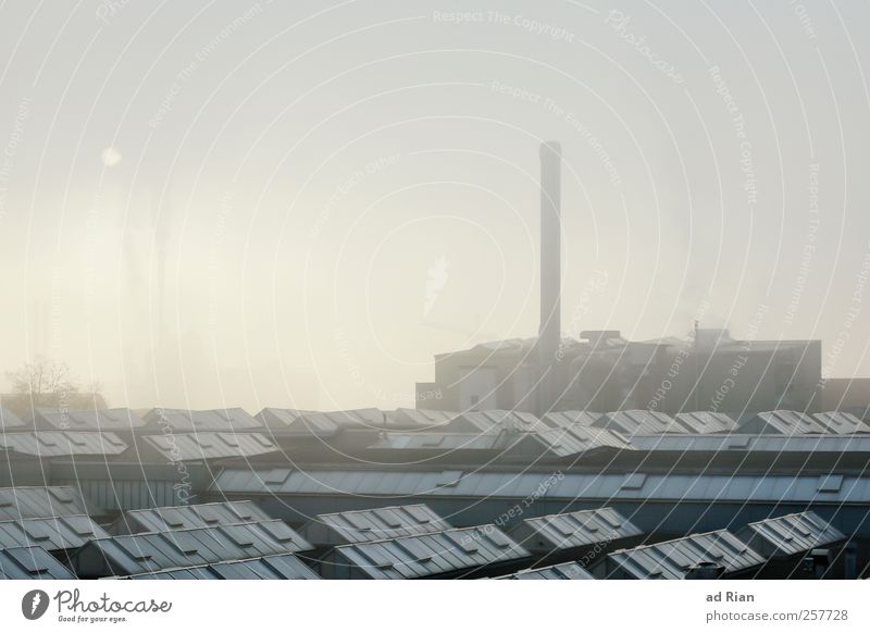 working class Factory Economy Industry Environment Sky Clouds Winter Fog Industrial plant Dark Stress Moody Colour photo Exterior shot Copy Space top Day