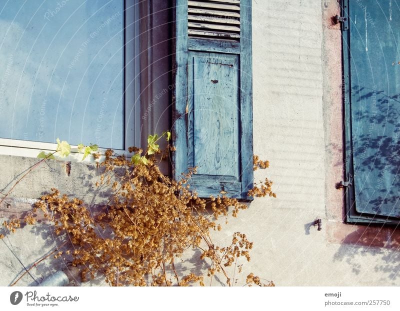 windows | retro style House (Residential Structure) Detached house Building Wall (barrier) Wall (building) Facade Window Old Blue Colour photo Exterior shot