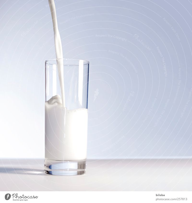 Milk makes tired men feel better. Cast Glass jet Beverage Drinking Fresh Healthy Bright chill Wet White Fill Movement Half full Structures and shapes