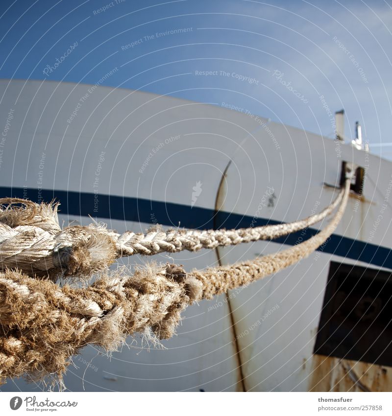 cordage Far-off places Cruise Summer Logistics Cloudless sky Sun Coast Navigation Passenger ship Cruise liner Steamer Container ship Ferry Harbour Rope Porthole