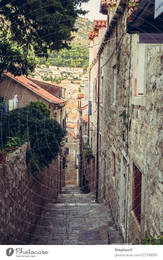 Lane in Dubrovnik/Croatia Vacation & Travel Tourism Trip Sightseeing City trip Summer Summer vacation Europe Town Downtown Old town Deserted