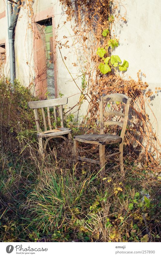 rendez-vous Environment Nature Plant Grass Bushes Garden Wall (barrier) Wall (building) Facade Old Chair 2 Seating Feral Unkempt Date Colour photo Exterior shot