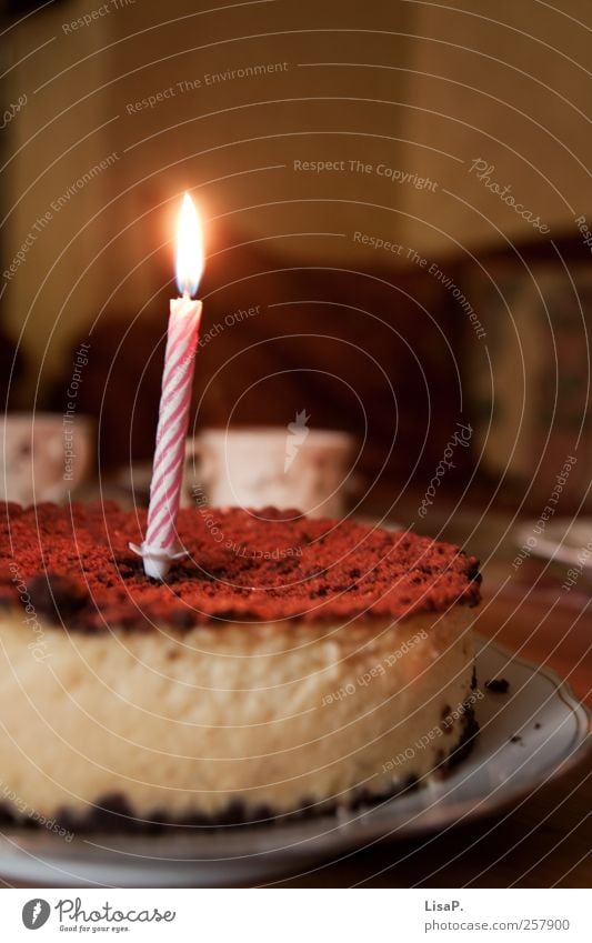 ...and because it's your birthday today. Dough Baked goods Cake To have a coffee Plate Decoration Candle Delicious Beautiful Brown Pink Happy Birthday