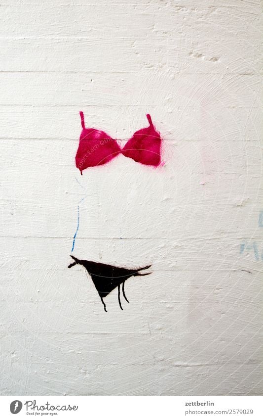 bikini Bikini Diet Body Figure Woman Feminine Underwear Wall (building) Wall (barrier) Graffiti Illustration Tagging (graffiti) Vandalism Smeared Street art Art
