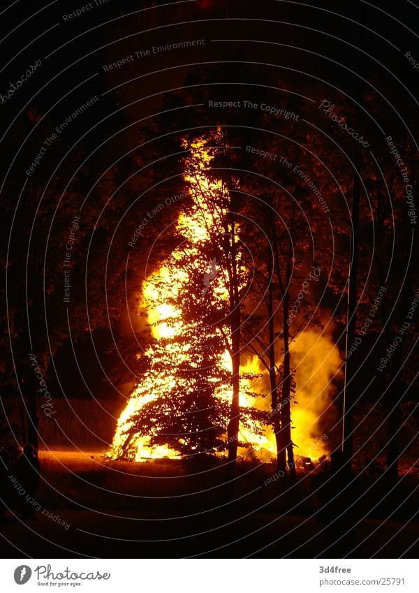 Fire behind the tree Tree Clearing Wood Burn Night Hot Physics Stack of wood Glint Red Yellow Blaze Flame Evening Feasts & Celebrations Summer solstice Warmth