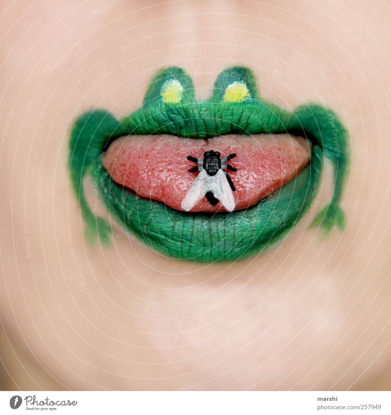 Meal! Skin Face Mouth Lips Animal Frog Animal face 1 Green Fly Tongue Foraging Captured Colour photo Interior shot Graphic Illustration Bright background
