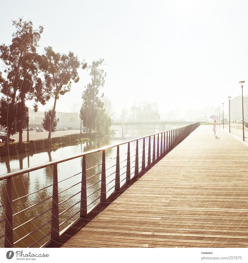 promenade, morning Girl 1 Human being Sunrise Sunset Sunlight River bank Manmade structures Architecture Promenade Wooden floor Handrail Water Tree Sepia
