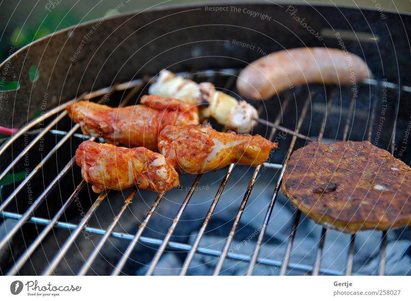 Barbeque party with family Meat Summer Ashes Beef Chicken Flame Glow Hamburger Heat picnic Pork Roast Roasted shish sizzling Steak Tasty Colour photo