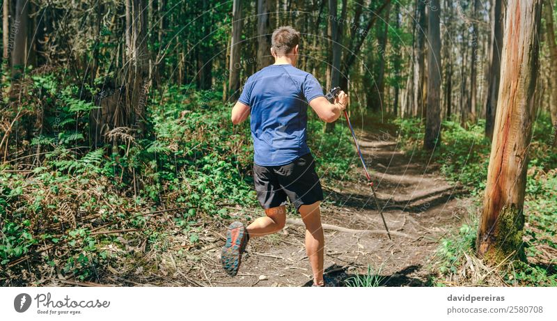 Man participating in trail race Lifestyle Adventure Sports Human being Adults Nature Tree Forest Lanes & trails Fitness Authentic Speed Effort Energy