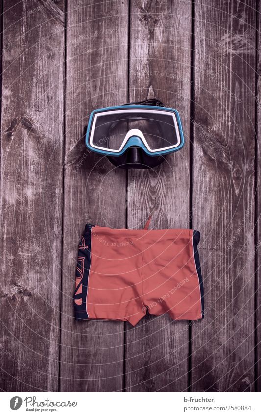 bathing season Swimming & Bathing Leisure and hobbies Vacation & Travel Summer Summer vacation Dive Swimming trunks Utilize Lie Old Threat Dark Diving goggles