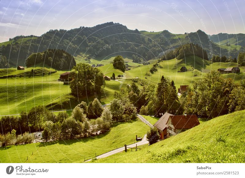 rolling hills Landscape Earth Summer Beautiful weather Hill Alps Mountain Switzerland Village Deserted House (Residential Structure) Hut Relaxation Hiking Green