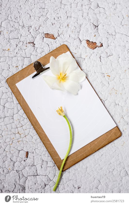 Clipboard with flowers on white background Valentine's Day Science & Research Work and employment Office work Flower Paper Love Above Original White copy
