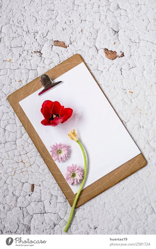 Clipboard with flowers on white background Elegant Style Design Valentine's Day Science & Research Work and employment Office work Flower Paper Love Above