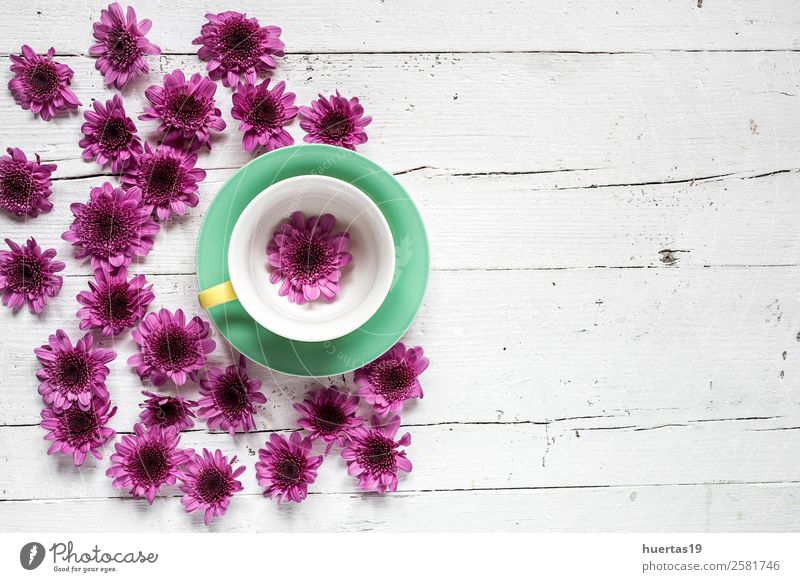 Cup of tea with Floral background Tea Mug Elegant Style Design Valentine's Day Nature Plant Flower Leaf Bouquet Natural Above Original Violet Love Colour cup
