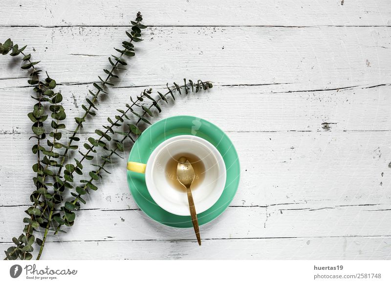 Cup of tea with Floral background Beverage Hot drink Tea Valentine's Day Nature Plant Flower Leaf Bouquet Natural Above Green Colour cup decor pretty Card frame