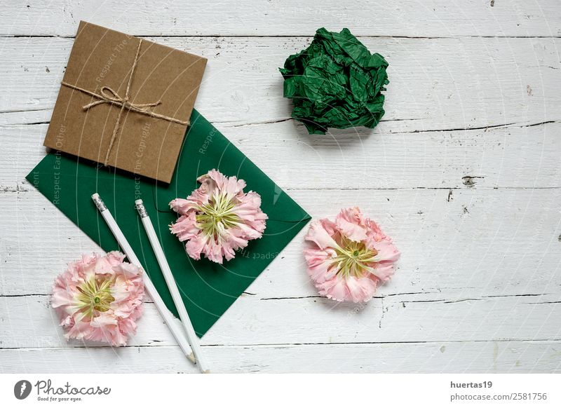 Flowers on white background Design Birthday Scissors Nature Leaf Bouquet Love Natural Above Green Pink White Passion Romance Consistency paper envelope