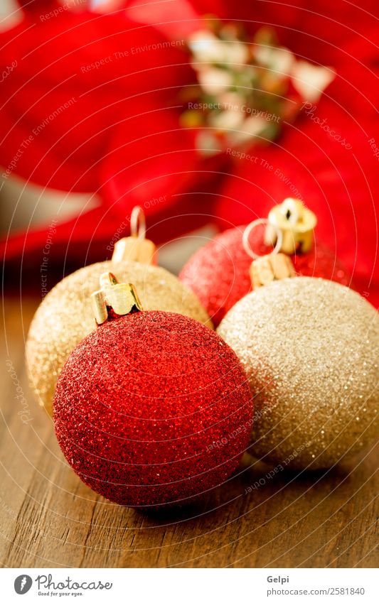 Christmas decoration Happy Beautiful Vacation & Travel Winter Decoration Feasts & Celebrations Christmas & Advent Flower Wood Ornament Bright Small New Gold Red