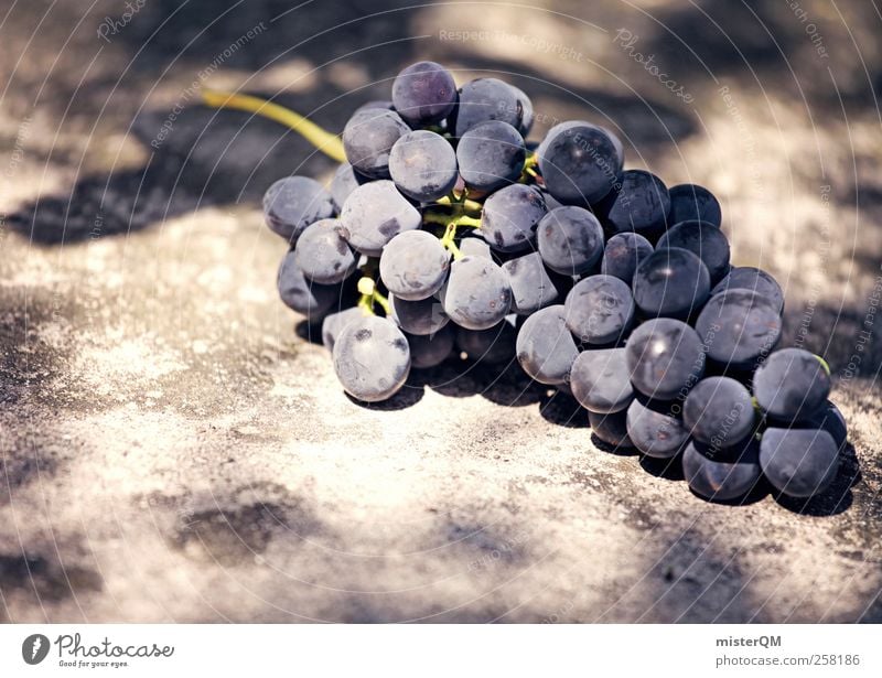 Delicious. Nature Esthetic Wine Vine Vineyard Bunch of grapes Grape harvest Wine growing Red wine Berries Ingredients Raw materials and fuels Noble Healthy