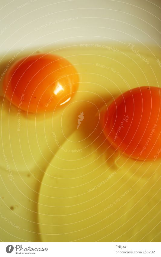 Egg Food Nutrition Simple Delicious Round Yellow Colour photo Interior shot Close-up Deserted Day Central perspective
