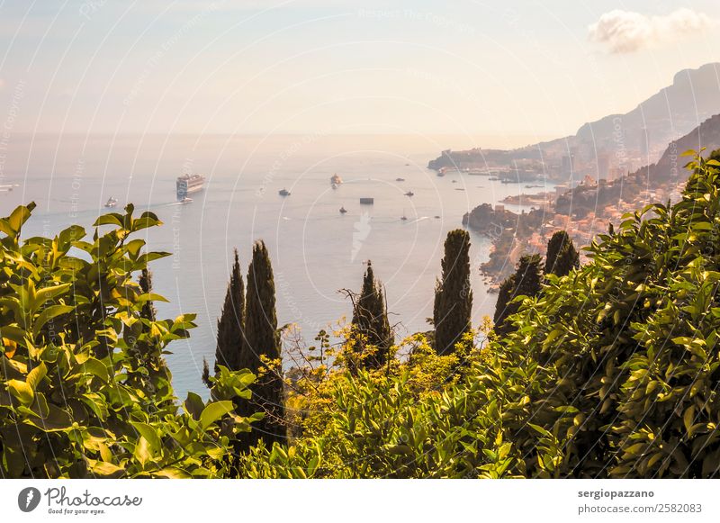 Panoramic view of gulf of Cap Martin and Monaco Shopping Luxury Elegant Style Exotic Money Sailing Environment Nature Landscape Plant Summer Coast Roquebrune