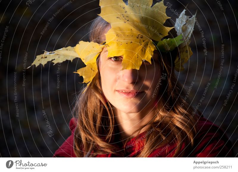 forest system Freedom Feminine Woman Adults 1 Human being 18 - 30 years Youth (Young adults) Autumn Leaf leaf crown Headband Brunette Long-haired Crown Smiling