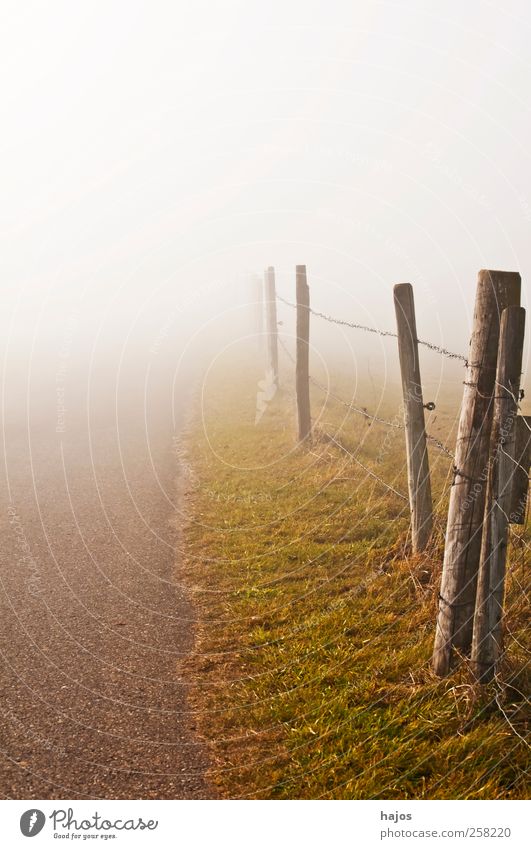 Fog in autumn Environment Nature Landscape Autumn Climate Weather Field Lanes & trails Esthetic Gloomy Brown Gray Fog bank White Fence Perspective Winter