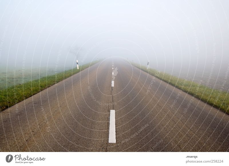road Fog Transport Traffic infrastructure Street Driving Future Lanes & trails Resume Colour photo Exterior shot Deserted Copy Space top Central perspective