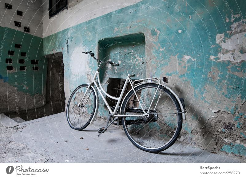 Bicycle in the stable Wall (barrier) Wall (building) Wait Old Esthetic Trashy White Mysterious Nostalgia Decline Past Transience Turquoise Derelict Patina
