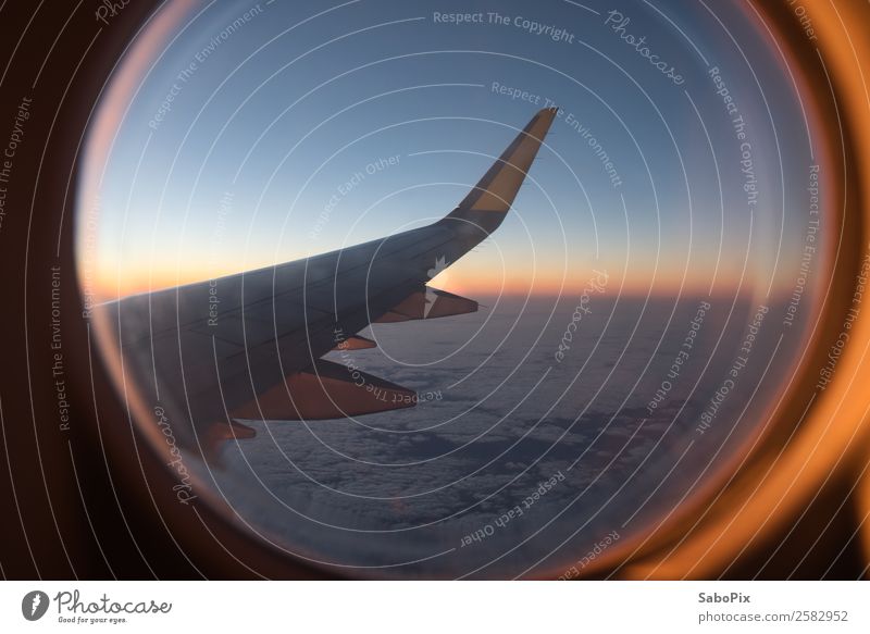 Flight into the morning Airplane Flying Warmth Moody Warm-heartedness Wanderlust Adventure Colour Horizon Vacation & Travel Wing Airplane window Comforting