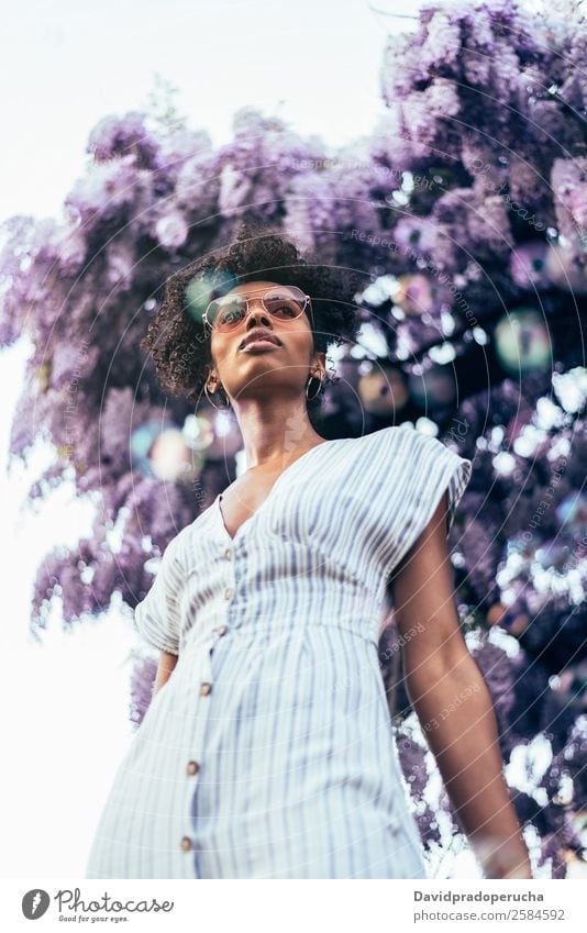 Happy young black woman surrounded by flowers Lifestyle Beautiful Relaxation Summer Garden Human being Feminine Woman Adults Nature Tree Flower Blossom Dress
