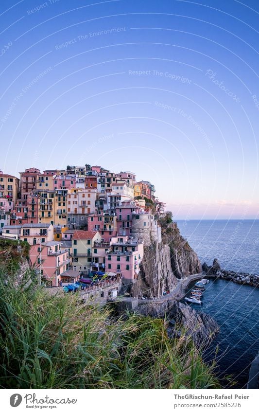 Manarola Landscape Blue Multicoloured Green Pink Cinque Terre Italy Tourism Travel photography Vacation & Travel Cliff House (Residential Structure)
