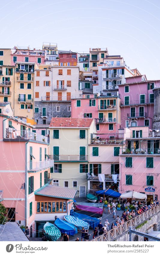 Manarola Village Fishing village Blue Multicoloured Violet Pink White Cinque Terre Italy House (Residential Structure) Narrow Window Valued Watercraft