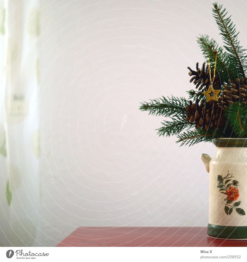latecomers Decoration Table Leaf Gold Vase Christmas tree Christmas decoration Star (Symbol) Drape Fir branch Cone Colour photo Interior shot Deserted