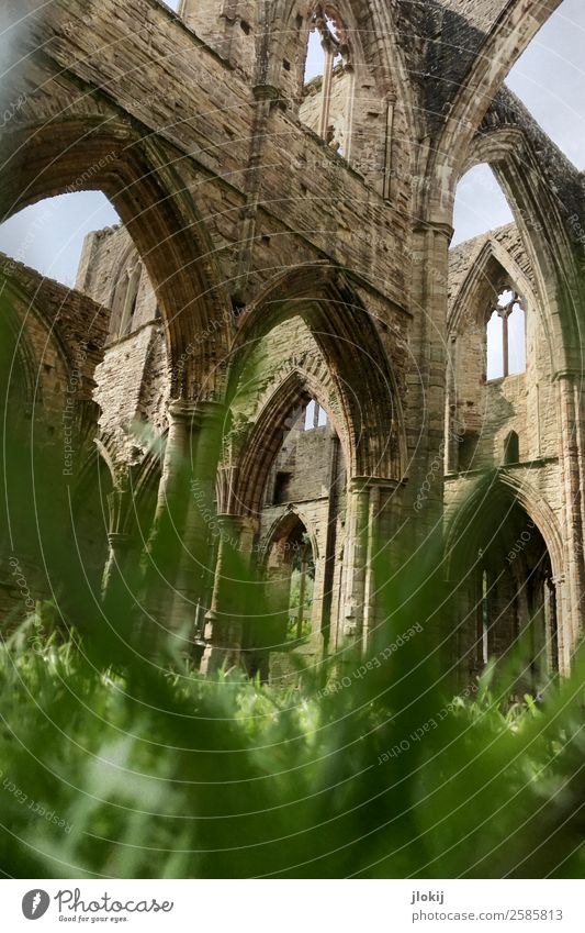 transience Sightseeing Architecture Plant Clouds Sun Sunlight Summer Beautiful weather Grass Leaf Park Meadow Deserted Church Dome Ruin Manmade structures