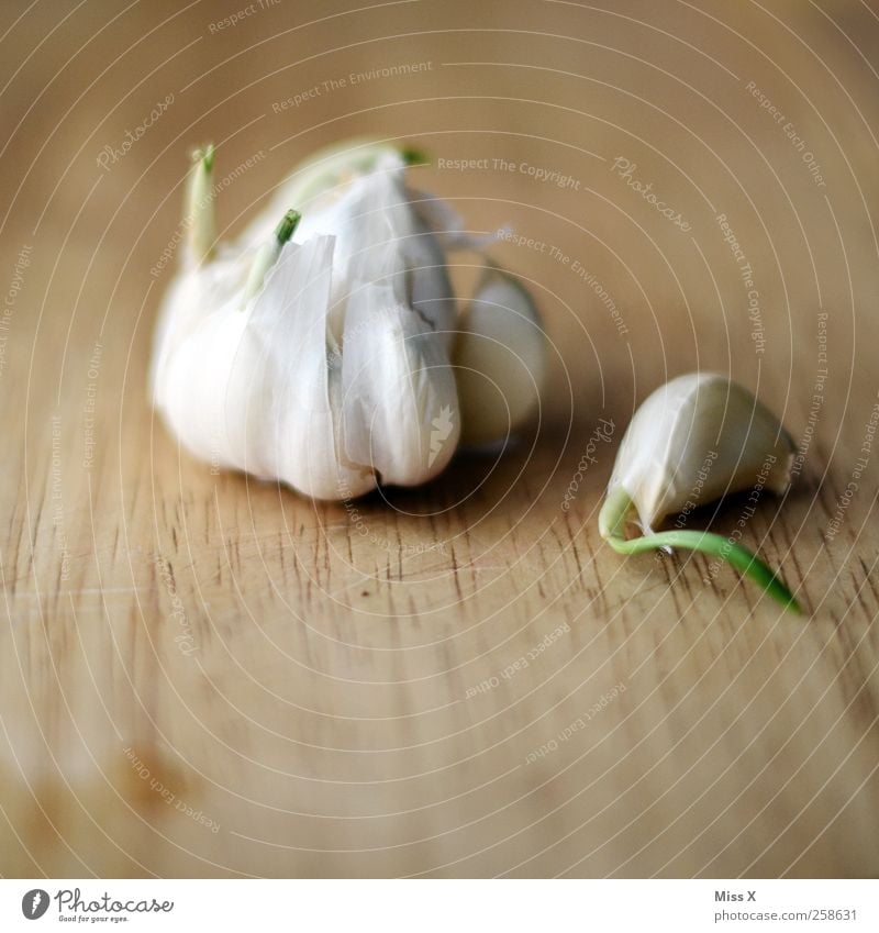 Old toe Food Vegetable Herbs and spices Nutrition Organic produce Fresh Healthy Delicious Garlic Malodorous Wood Clove of garlic Growth Colour photo