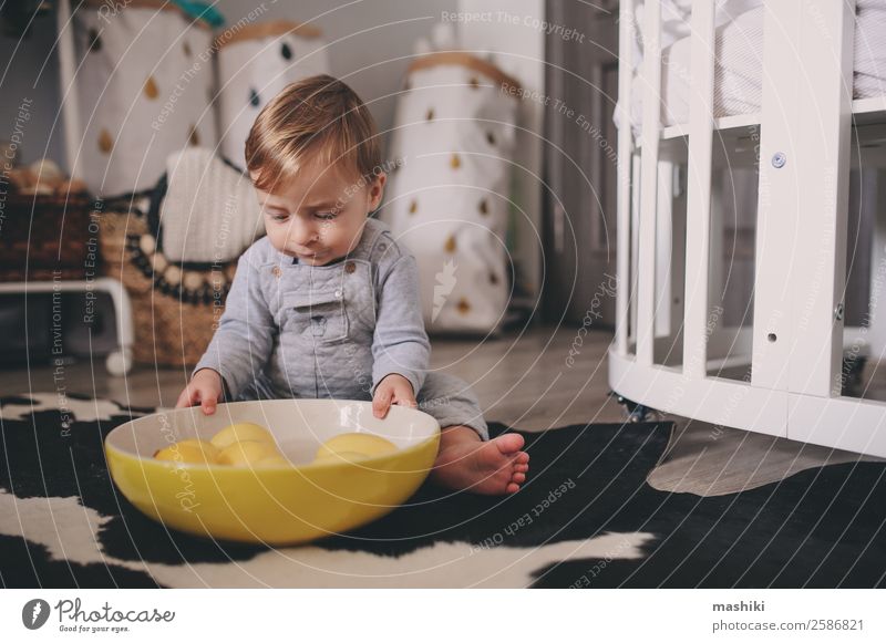 cute happy baby boy playing with plate of lemons Plate Lifestyle Style Happy Playing Winter Bedroom Child Baby Boy (child) Infancy Warmth Sweater Sit Small