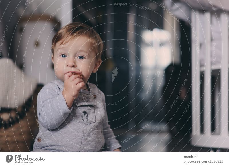 cute happy baby boy eating cookies at home Plate Lifestyle Style Happy Playing Winter Bedroom Child Baby Boy (child) Infancy Warmth Sweater Sit Small Modern