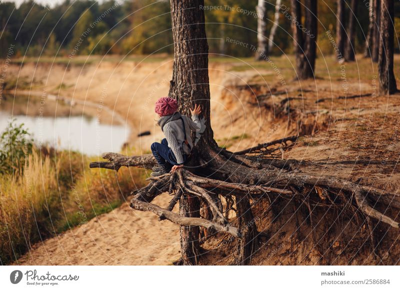 child girl climbing pine tree in autumn Lifestyle Joy Leisure and hobbies Vacation & Travel Trip Adventure Freedom Child Girl Infancy Nature Autumn Tree Forest