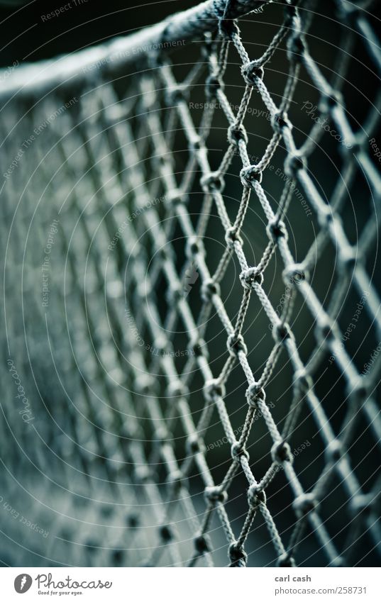 net Zoo Line Knot Net Attachment Handrail Blur Rope Protection Colour photo Exterior shot Close-up Detail Experimental Structures and shapes Deserted Morning