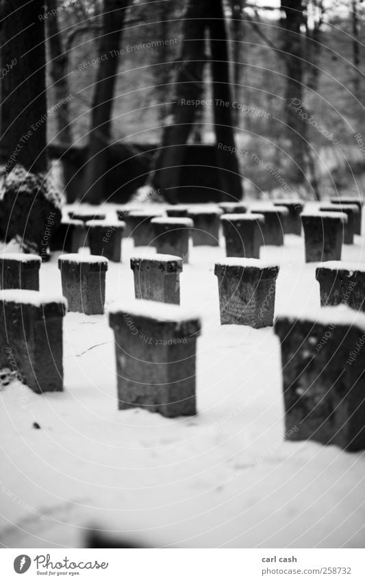 cold winter Snow Tombstone Funeral Stone Gray Black White To console Calm Sadness Death Loneliness Stress Apocalyptic sentiment Peace Black & white photo