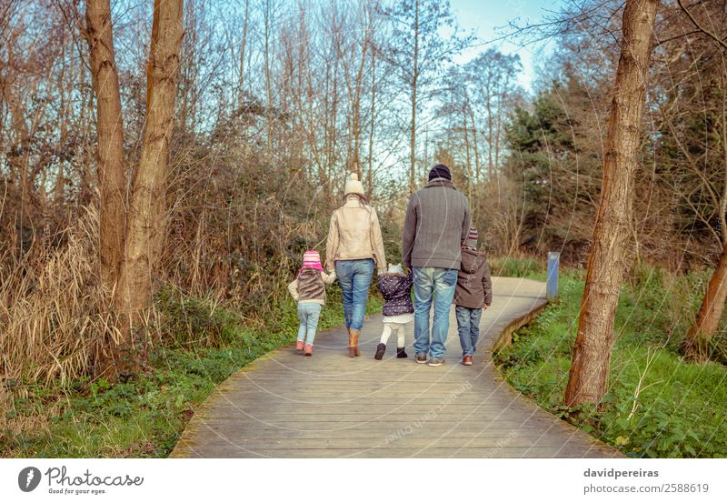 Back view of family walking together holding hands over a wooden pathway into the forest Lifestyle Joy Happy Leisure and hobbies Winter Child Boy (child) Woman
