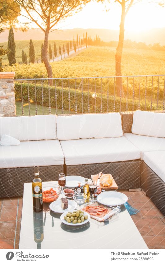 romantic dinner Nature Yellow Gold Green Italy Gourmet Olive Meat Wine Vine Sunset Eating To enjoy Sofa Exterior shot Cypress Tuscany Picnic Dinner Colour photo