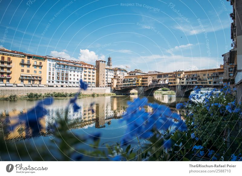 Florence Town Blue Tourism Flower Water Reflection Bridge Valued To go for a walk Clouds Building Italy Vacation & Travel Colour photo Exterior shot Deserted