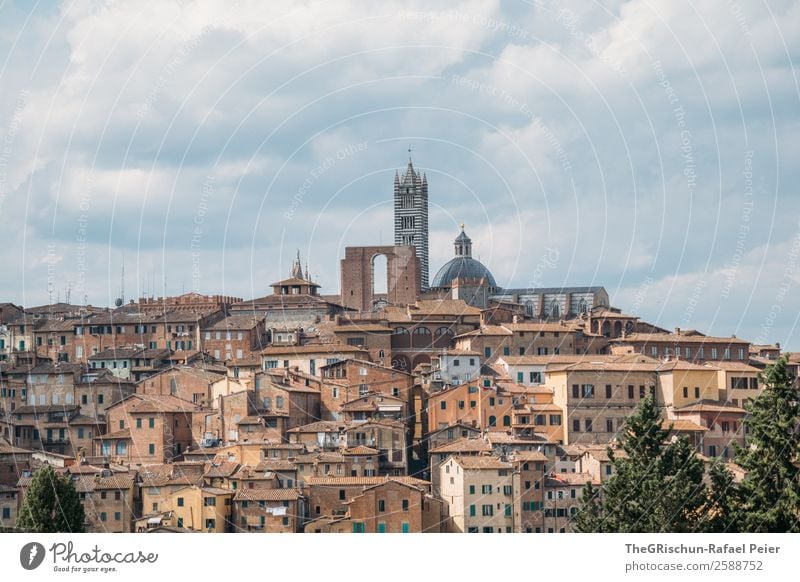 Siena Town Esthetic Italy Travel photography Small Town Tuscany Discover House (Residential Structure) Closed Build on Colour photo Exterior shot Deserted Day