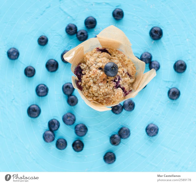 Muffins with blueberries on blue background. Fruit Bread Dessert Candy Nutrition Eating Breakfast To have a coffee Picnic Organic produce Vegetarian diet Diet