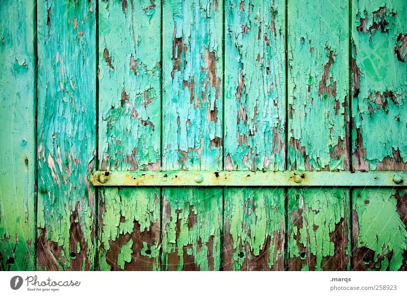structured Style Design Wall (barrier) Wall (building) Door Gate Wood Illuminate Old Exceptional Uniqueness Green Colour Nostalgia Decline Transience Turquoise