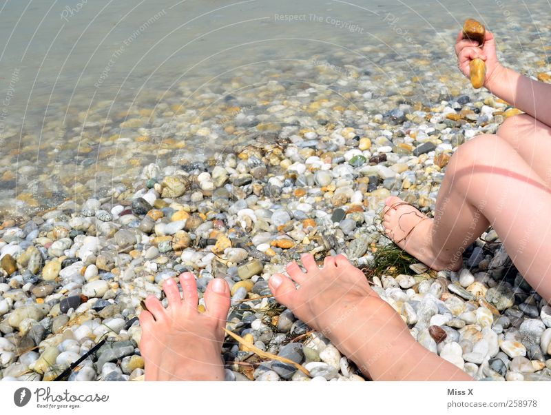 summer Vacation & Travel Summer Summer vacation Sunbathing Beach Infancy Legs Feet Coast Lake Sit Stone Throw Colour photo Exterior shot Copy Space left