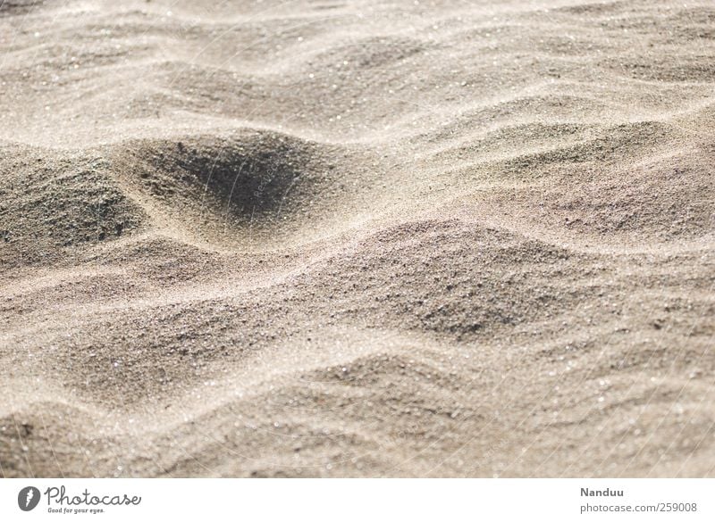 eternity. Nature Esthetic Sand Wavy line Calm Meditation Erosion Beach Wind Colour photo Subdued colour Exterior shot Copy Space right Copy Space top